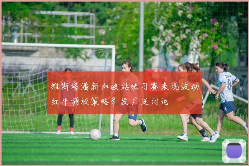 维斯塔潘新加坡站练习赛表现波动红牛调校策略引发广泛讨论